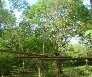 Parc d Parc d
