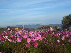 photo Ferme � D�lices - Ferme Auberge