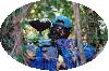 Guide en Picardie