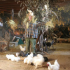 photo Ferme P�dagogique De La Liesse