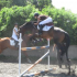 photo Equirun Centre Equestre