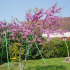 photo Hebergement :gite Rural