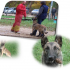 photo Centre Canin De La Vall�e De La Creuse