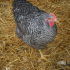 photo La Ferme De Ch�revie