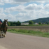 photo Poney Club / Centre �questre Du Moulin