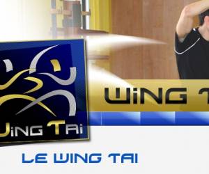 Wing tai belgium Wing tai belgium