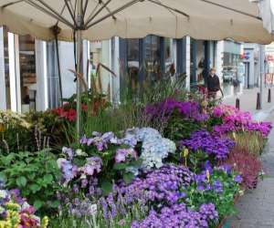 photo Jardins De Henimont