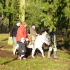 photo Domaine Equin Du Cerf