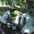 photo Paintball Loches,chinon 37500