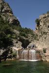 photo Corsica Forest