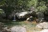 photo Corsica Forest