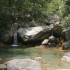 photo Corsica Forest