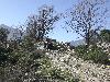 Guide en Corse