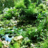 photo Relais Du Roy