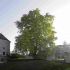 photo Domaine D'harcourt