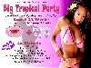 BIG TROPICAL PARTY