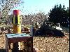 photo Paintball Missions