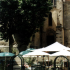 photo L'arlequin