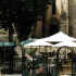 photo L'arlequin
