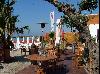 photo Palm Ray Plage