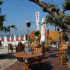 photo Palm Ray Plage