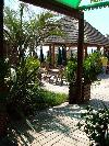 La plage des lezards