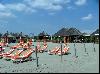 La plage des lezards