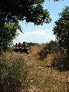 photo Quad Evasion 34