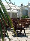 photo La Plage Des L�zards  (lezard Beach)