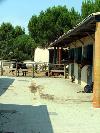 Centre equestre municipal montpellier grammont