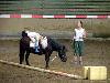Centre equestre municipal montpellier grammont
