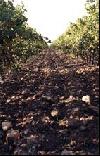 photo Le Domaine Saint Upery
