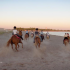photo Ranch Fumat
