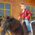 photo Poney Club De St Jean