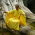 photo France Shaolin Nimes