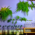 photo Bar � Vins Restaurant L'�ki