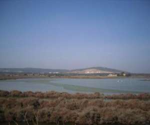 Ecurie des salins Ecurie des salins