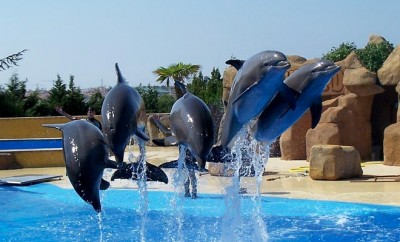 marineland