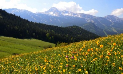 vercors