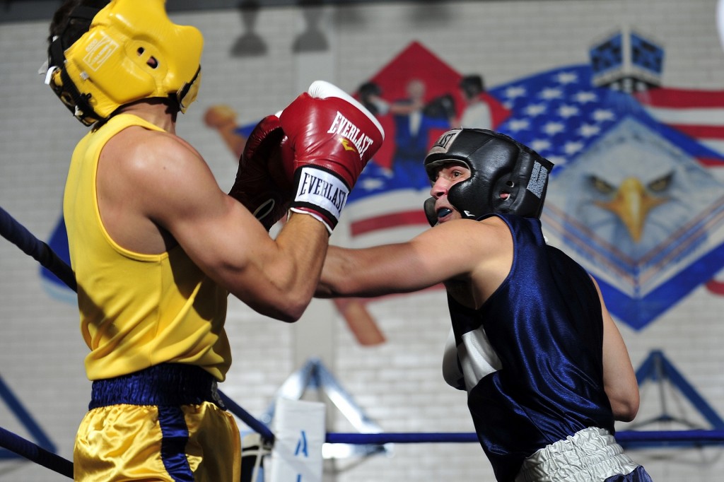 boxers-1919379_1920