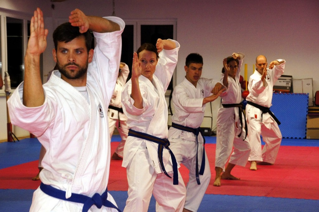 karate-436924_1280