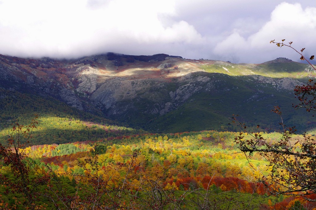 Montagnes Corse