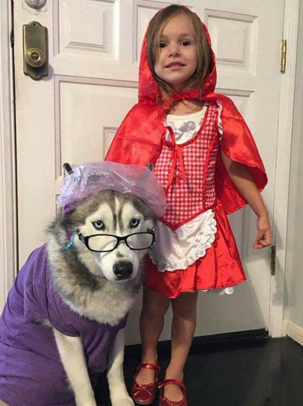 petit chaperon rouge