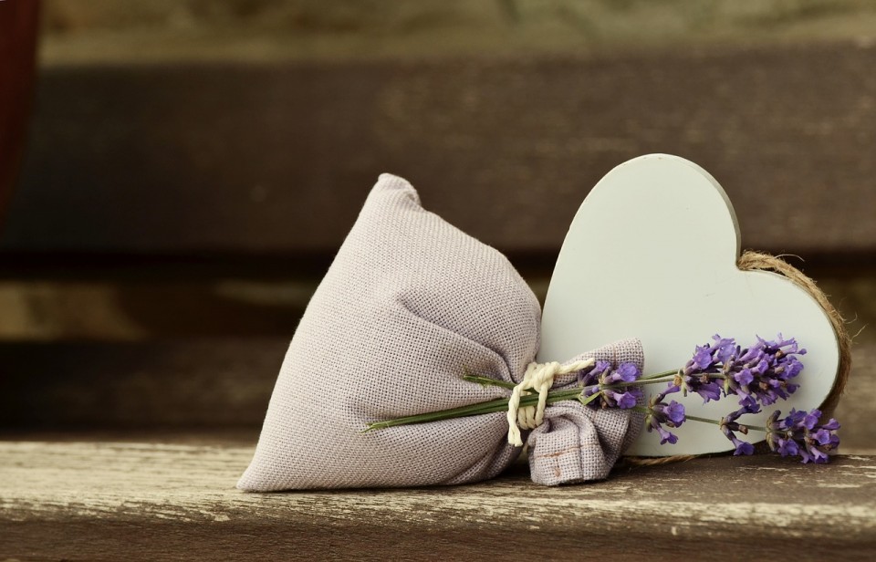 lavender-823600_1280