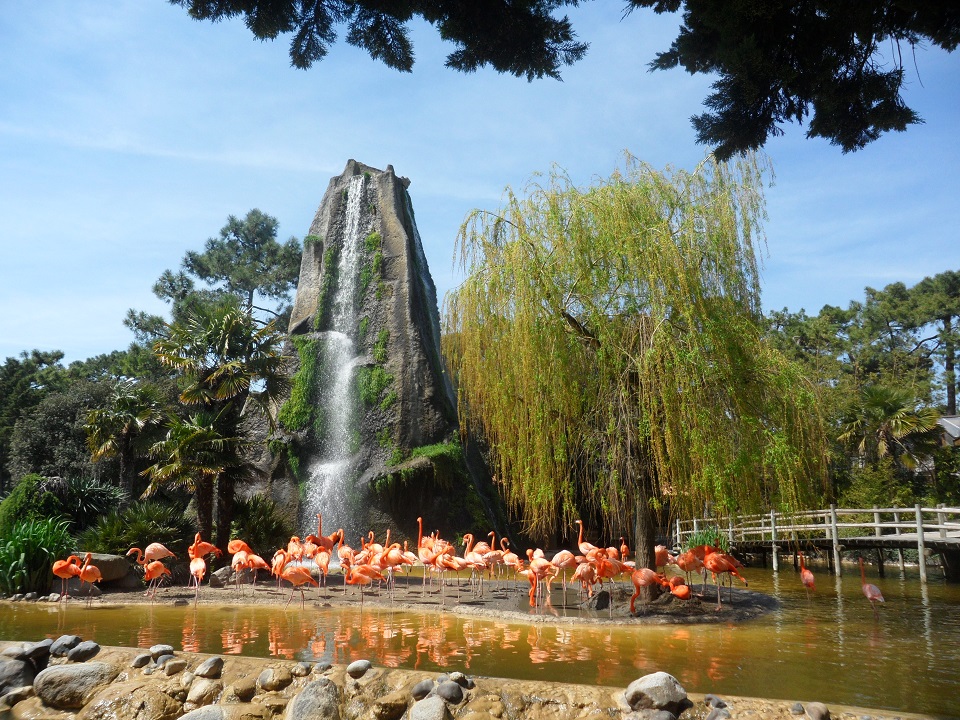 La_palmyre_zoo,_waterfall