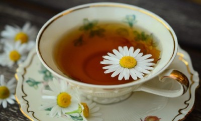 chamomile-tea