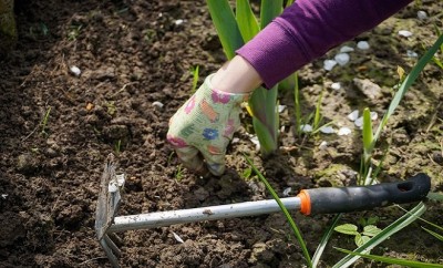 work-in-the-garden-2432111_640