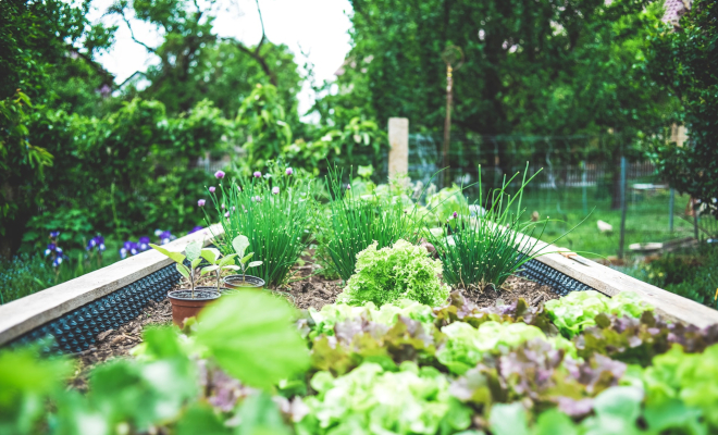 Comment aménager un jardin zen ? - Conseils Jardin Willemse