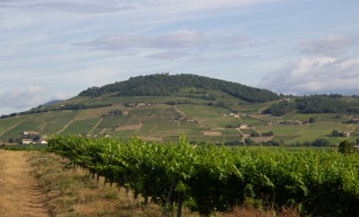 Mont Brouilly