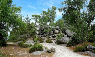 foret fontainebleau randonnees